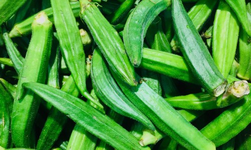 什么食物的镁多一些-什么食物的镁多网 :分享哪种食物镁含量高-什么食物美白效果好知识